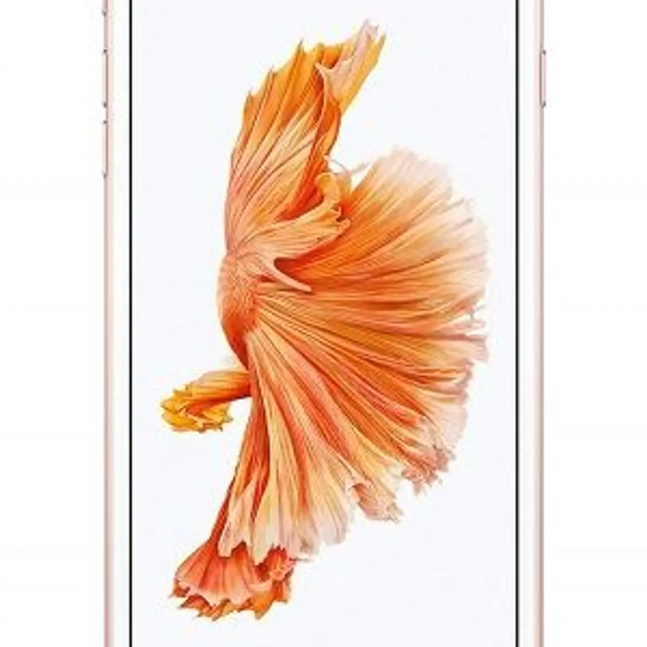 Apple iPhone 6s Plus Rose
